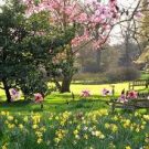 3 Tips to Get a Beautiful Spring Garden