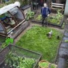4 Tips For People Starting Off With Urban Gardening