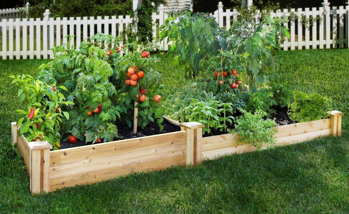 How to start a new garden?